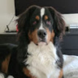 Meet your Posher, Natalia